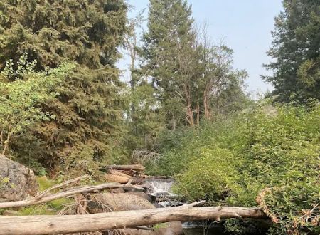 Big Bayhorse Campground