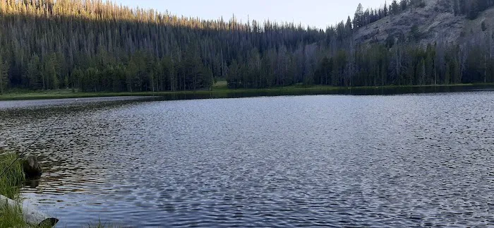 Little Bayhorse Lake Campground Picture 6