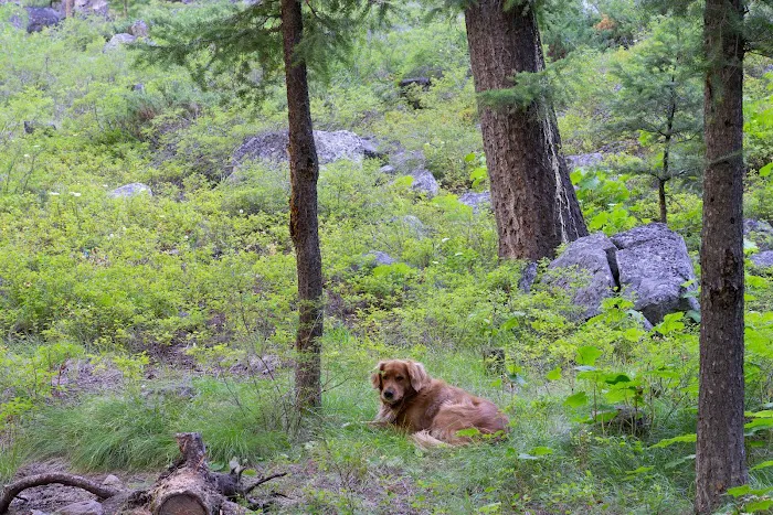 Flat Rock Campground Picture 5