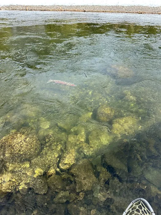 Marshall Creek Campground Picture 4