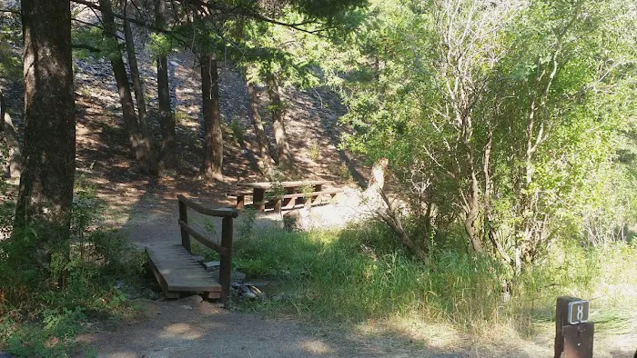 Holman Creek Campground Picture 3