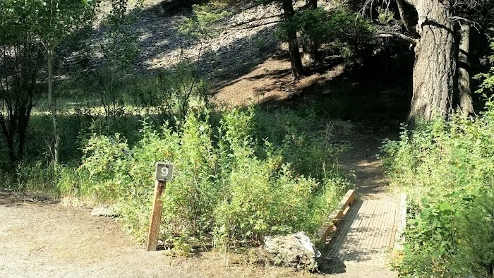 Holman Creek Campground Picture 8