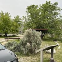 East Fork Recreation Site ico