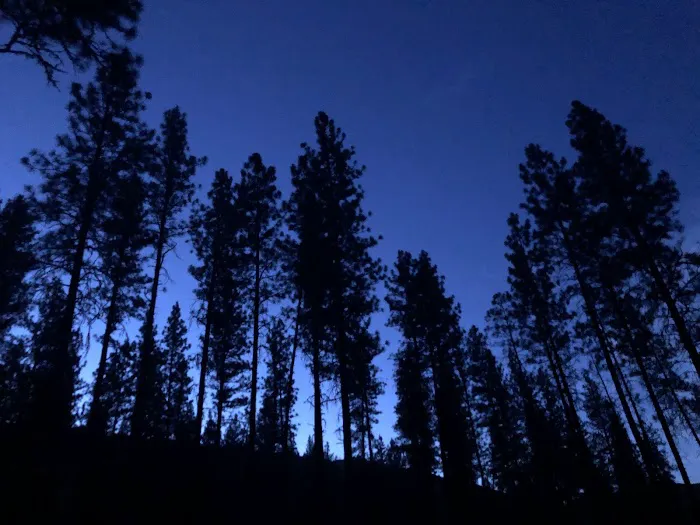 Pine Flats Campground Picture 2