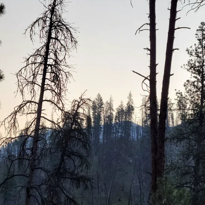 Pine Flats Campground Picture 8