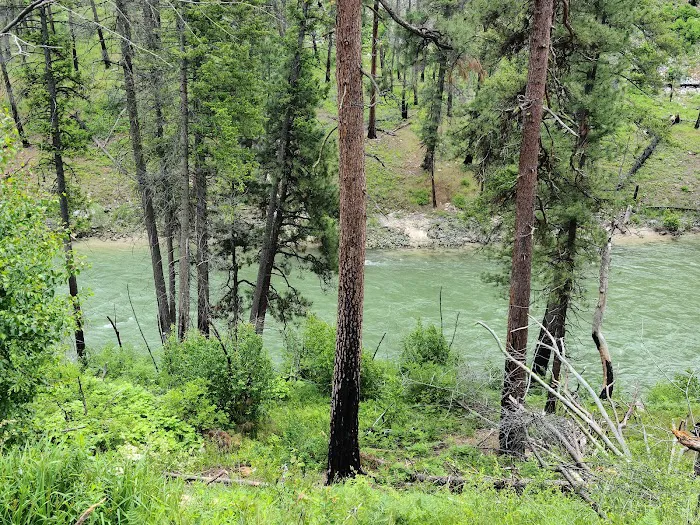 Pine Flats Campground Picture 7