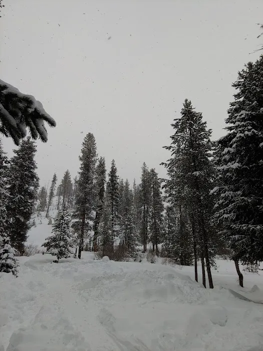 Beaver Creek Cabin Picture 4