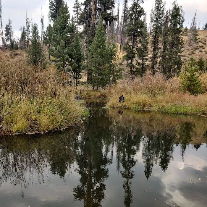 Beaver Creek Cabin Picture 9