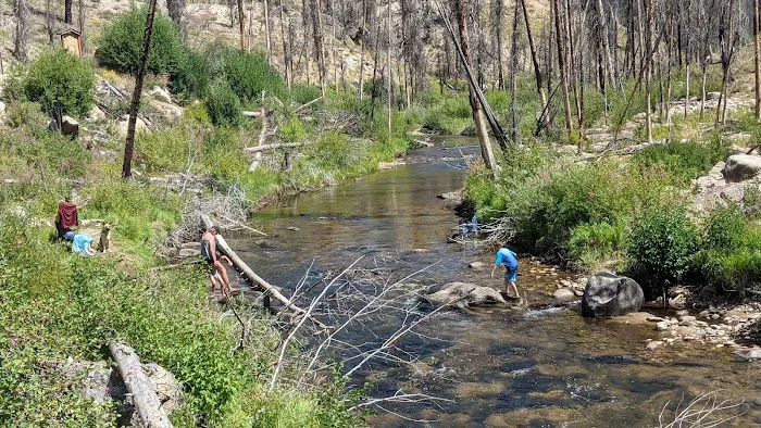 Edna Creek Campground Picture 9