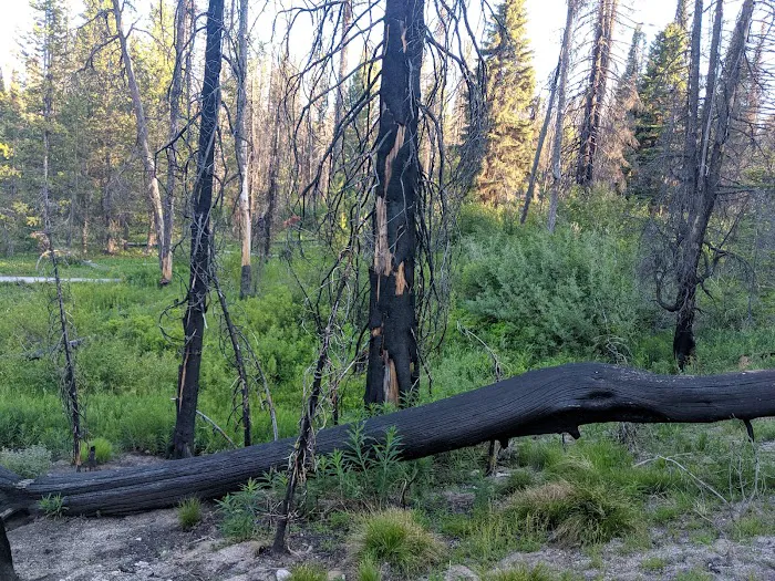 Edna Creek Campground Picture 7