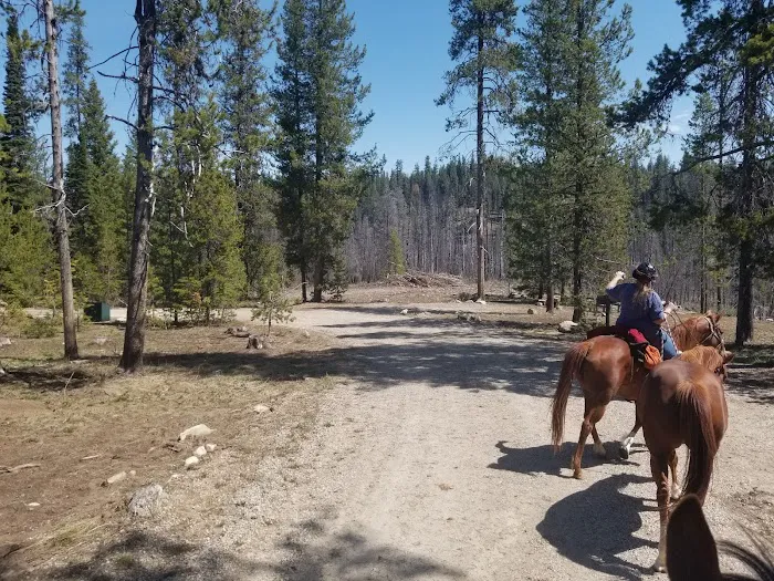 Whoop Um Up Equestrian Campground Picture 5