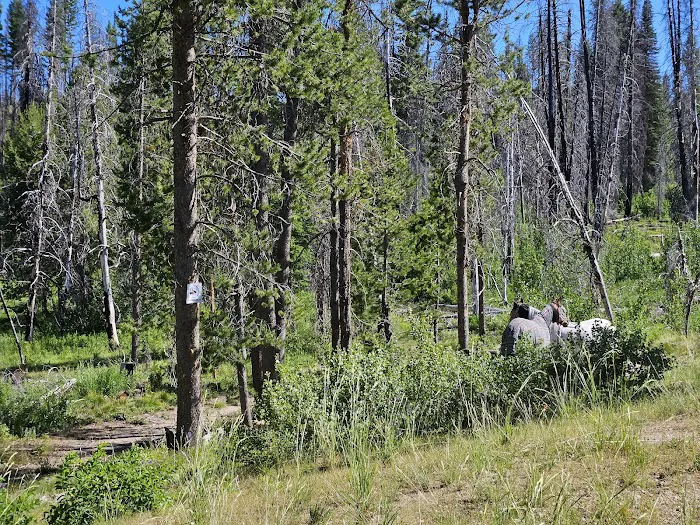 Whoop Um Up Equestrian Campground Picture 7