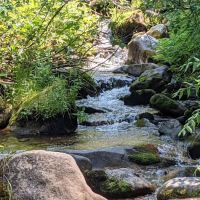 Hayfork Group Campground ico