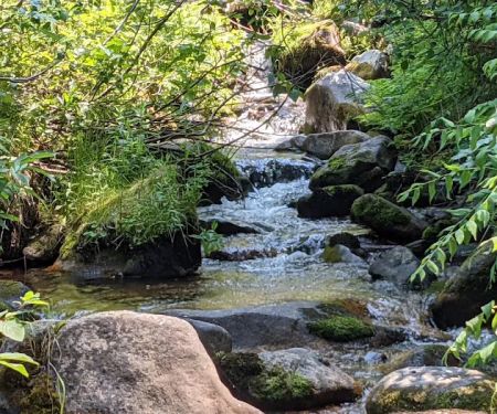 Hayfork Group Campground