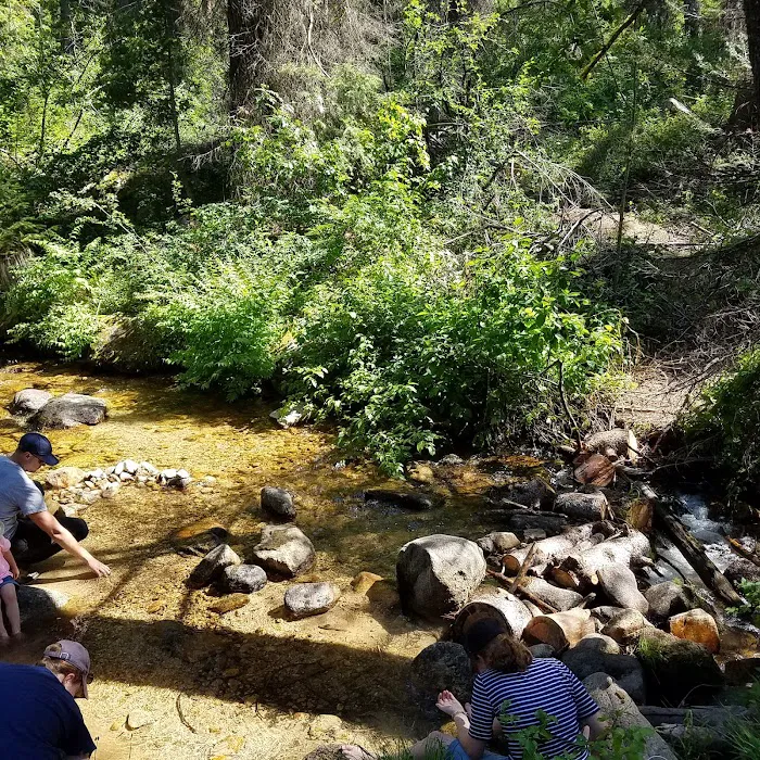 Hayfork Group Campground Picture 9