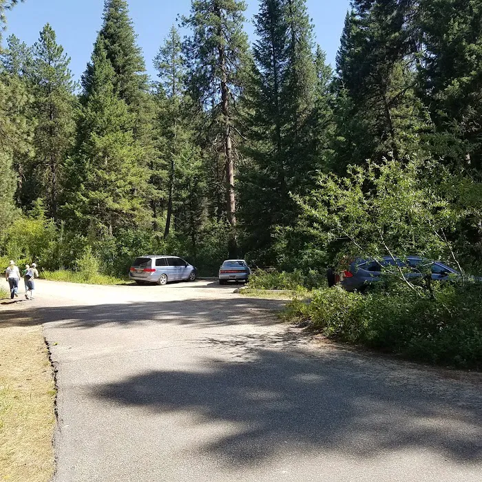 Hayfork Group Campground Picture 8