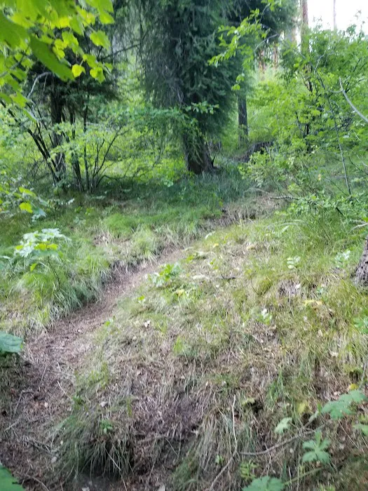 BAD BEAR CAMPGROUND Picture 1