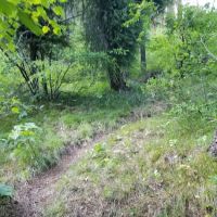 BAD BEAR CAMPGROUND ico