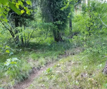 BAD BEAR CAMPGROUND