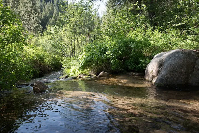 BAD BEAR CAMPGROUND Picture 8