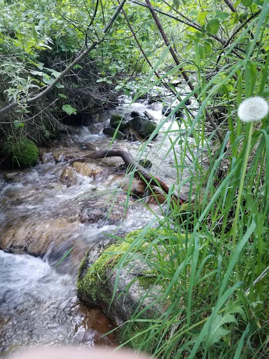 BAD BEAR CAMPGROUND Picture 3