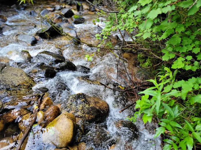 BAD BEAR CAMPGROUND Picture 6