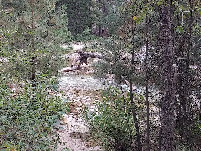 Queens River Campground Picture 1