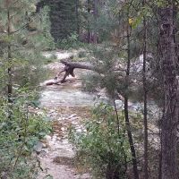 Queens River Campground ico