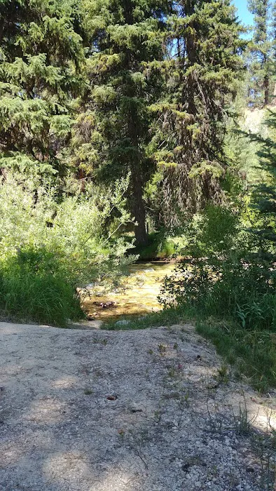 Queens River Campground Picture 6