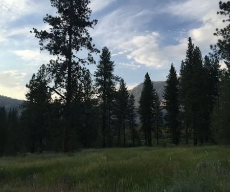 Riverside Campground