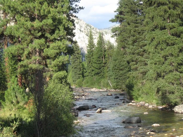 Riverside Campground Picture 10