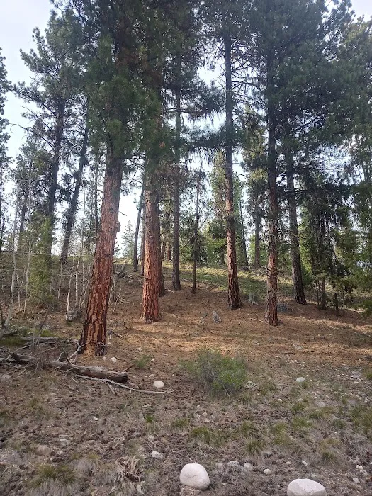 Riverside Campground Picture 5