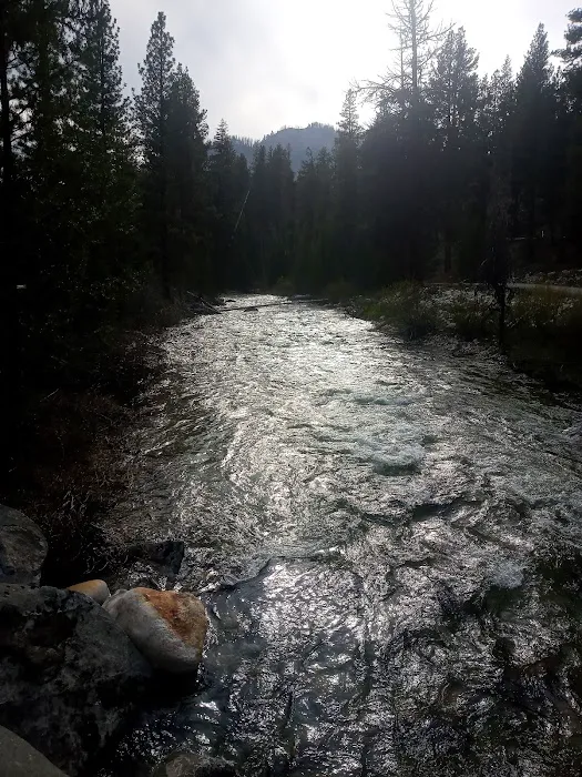 Riverside Campground Picture 4