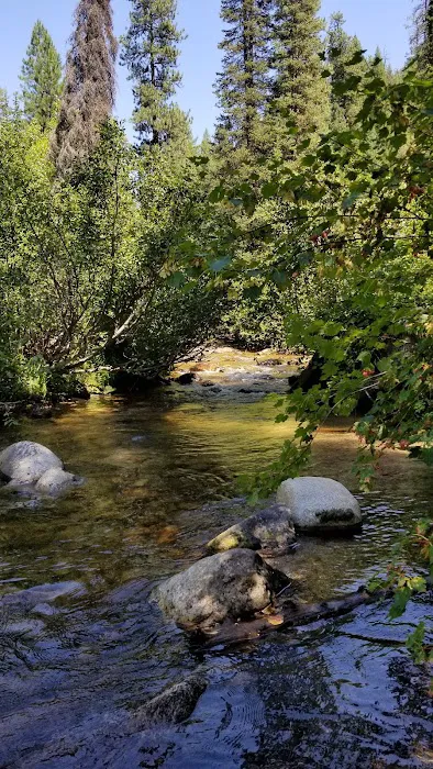 Ten Mile Campground Picture 4