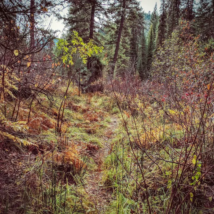 Ten Mile Campground Picture 1