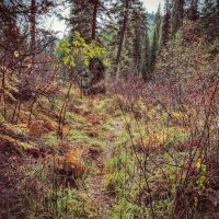 Ten Mile Campground ico