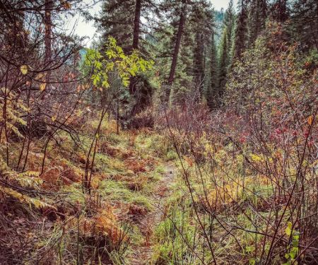 Ten Mile Campground