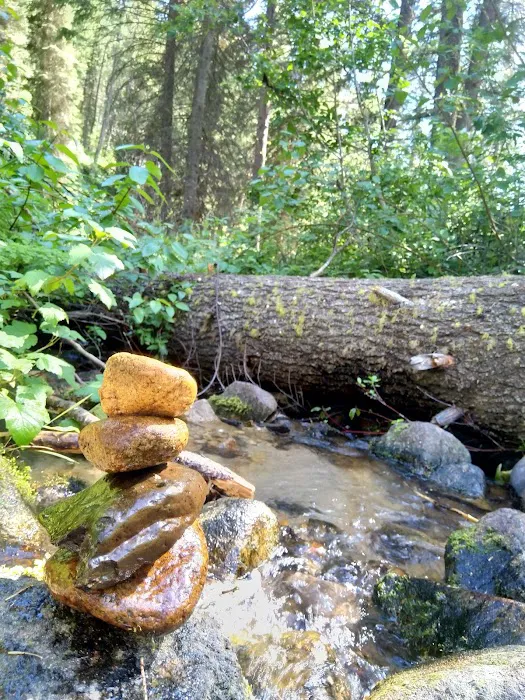 Ten Mile Campground Picture 6