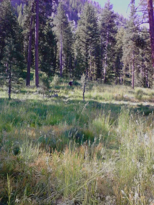 Power Plant Campground Picture 10