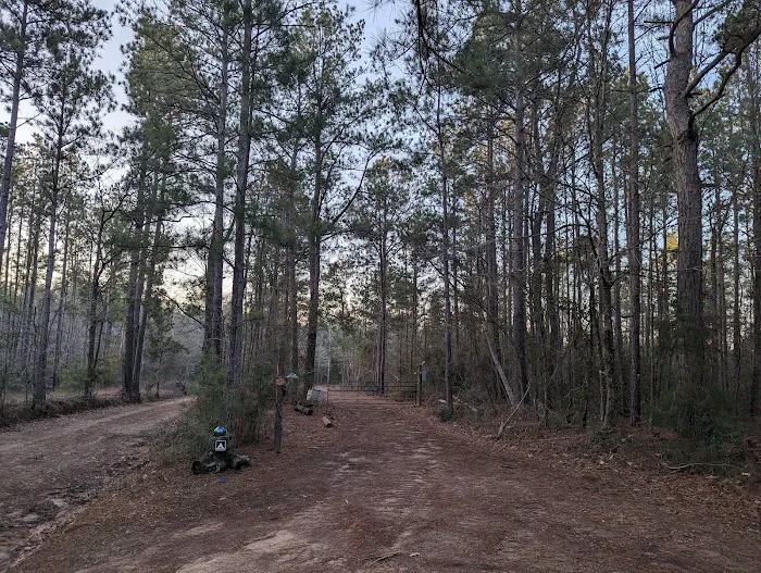 Evergreen Camping Adventures Picture 3