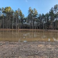 Evergreen Camping Adventures ico