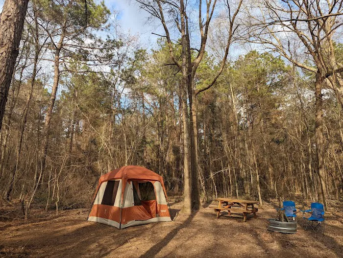 Evergreen Camping Adventures Picture 5