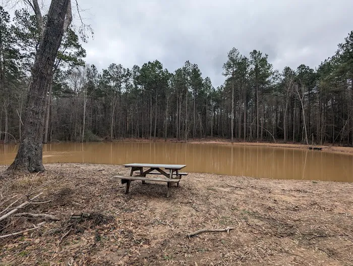 Evergreen Camping Adventures Picture 4