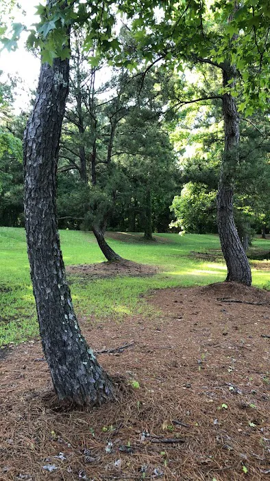 Hilltop Campgrounds Picture 2