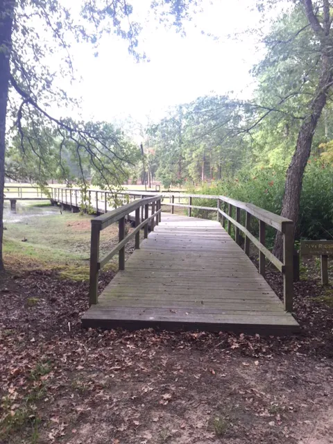 Cypress Black Bayou Recreation and Water Conservation District Picture 5