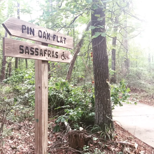 Cypress Black Bayou Recreation and Water Conservation District Picture 9