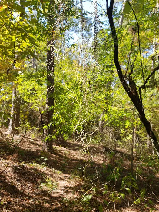 Bodcau Campgrounds Picture 8