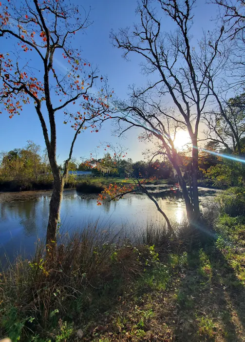 River Rock Resort Picture 6
