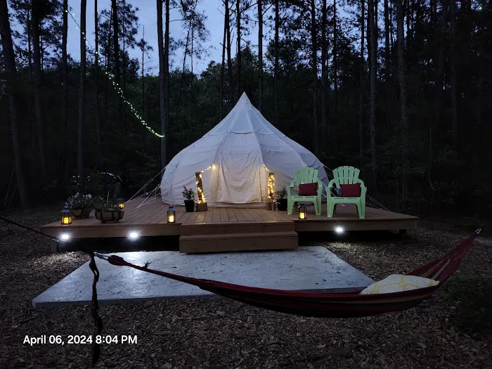 Wild Wood Haven Picture 2