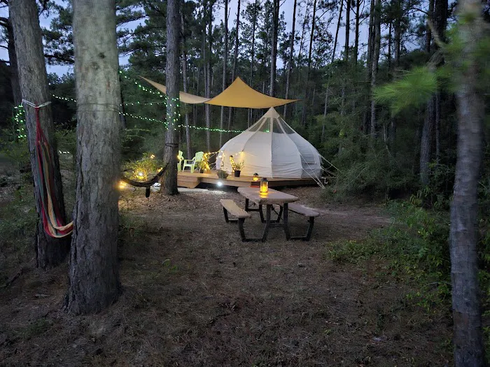 Wild Wood Haven Picture 1